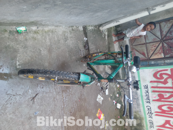 ছাইকেল